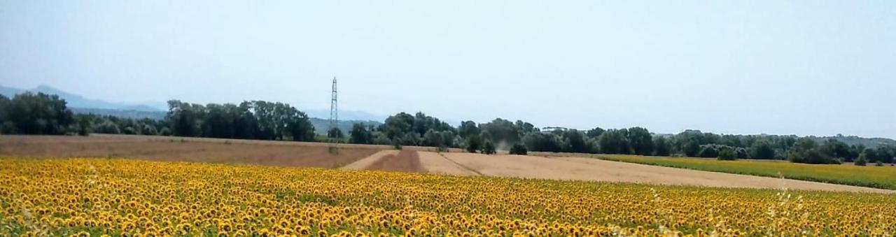 Splendido Ampio Appartamento A Montepulciano Stazione Exteriér fotografie