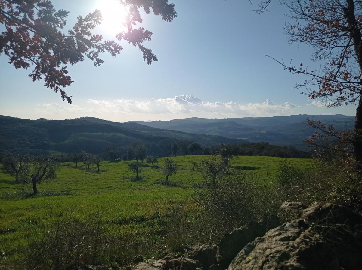 Splendido Ampio Appartamento A Montepulciano Stazione Exteriér fotografie