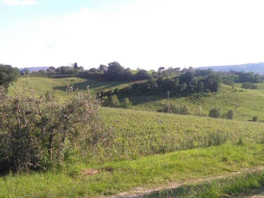Splendido Ampio Appartamento A Montepulciano Stazione Exteriér fotografie