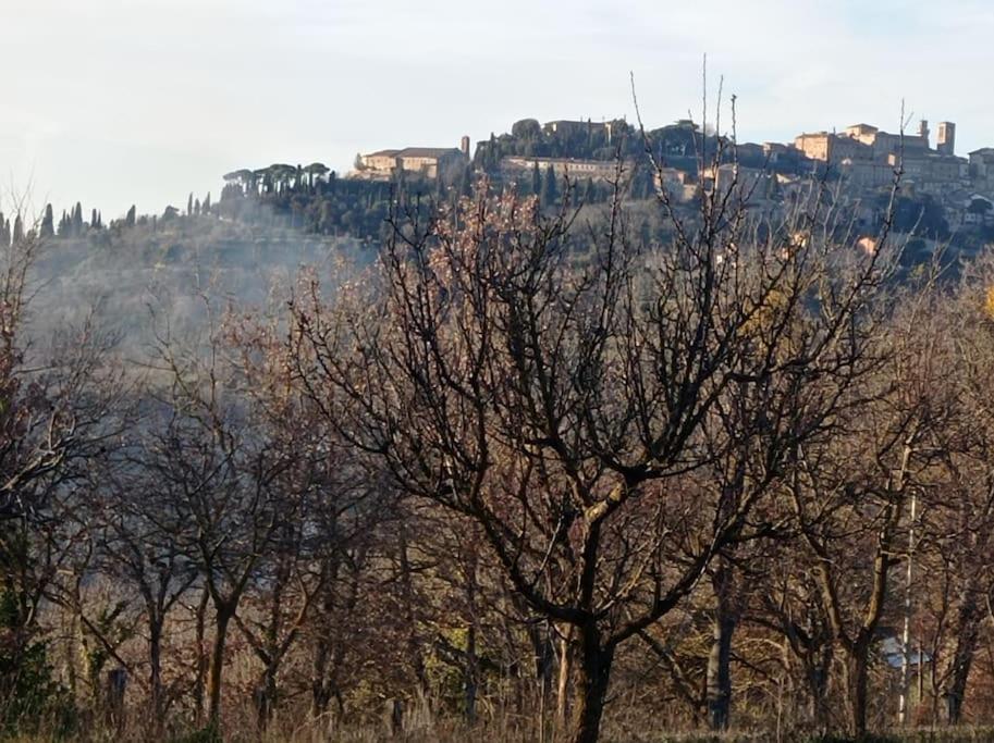 Splendido Ampio Appartamento A Montepulciano Stazione Exteriér fotografie