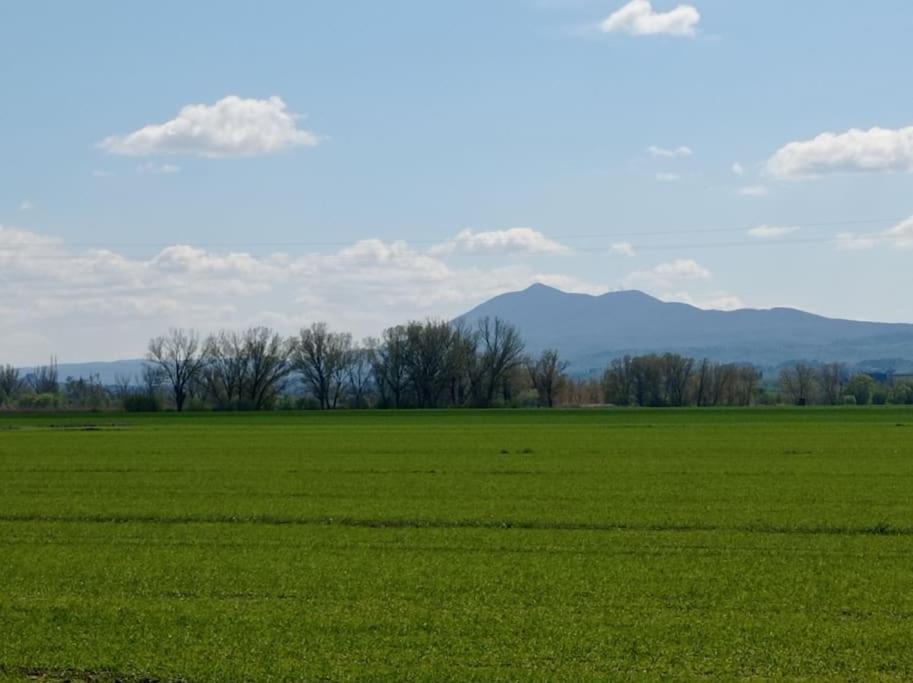 Splendido Ampio Appartamento A Montepulciano Stazione Exteriér fotografie
